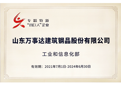 國家專精特新小巨人