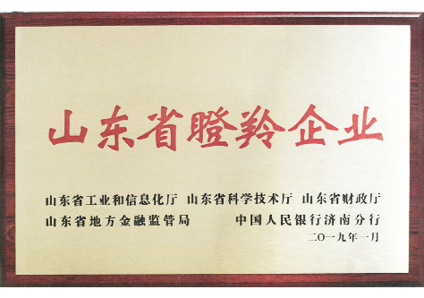 山東省瞪羚企業(yè)