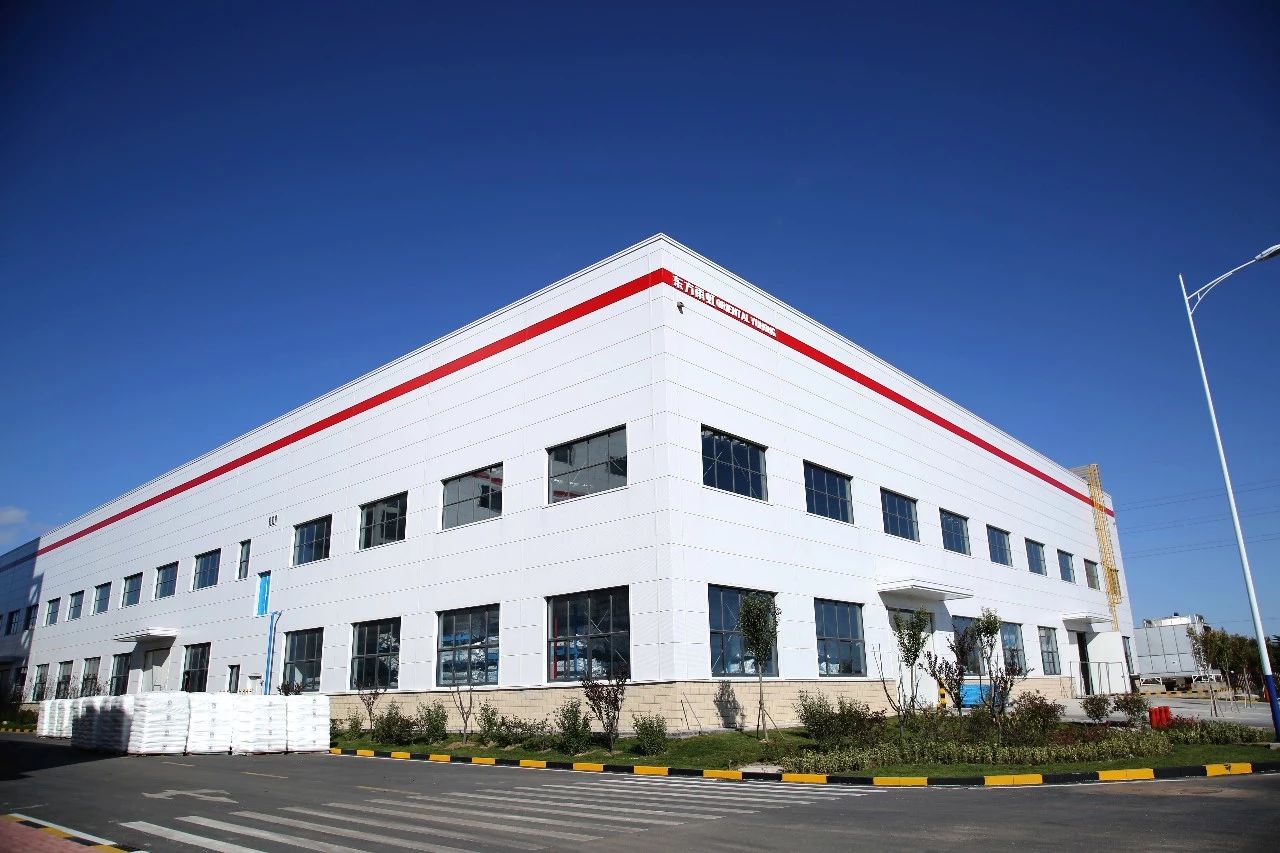 萊西.jpg 萊西.jpg